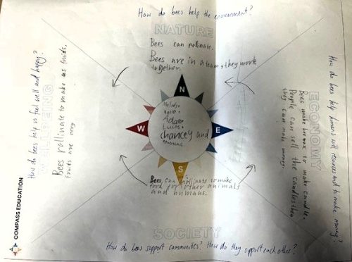 systems compass 3